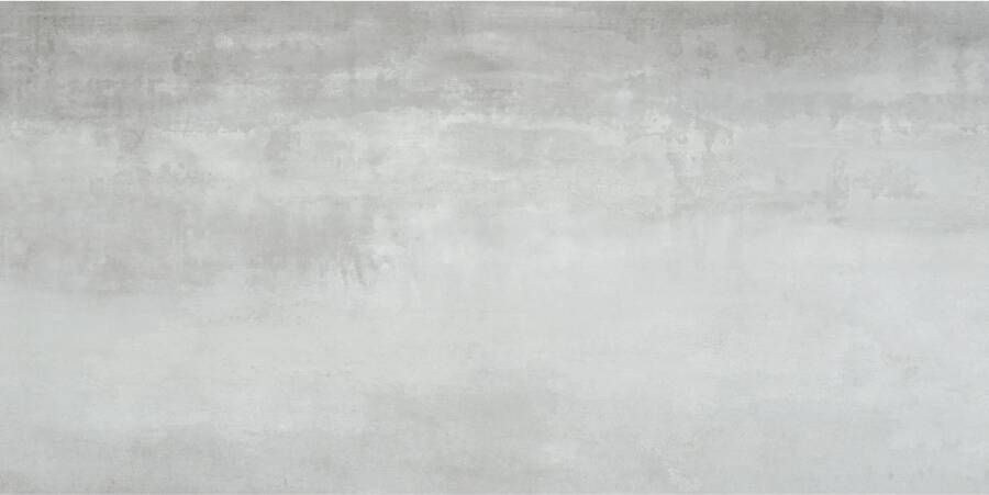 Alaplana Vloertegel Ruano Gris 60x120 cm