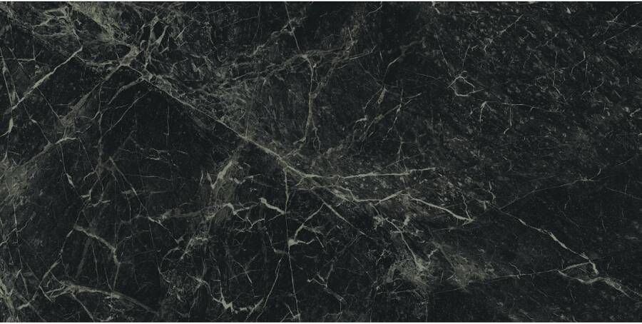 Ape Grupo Vloertegel Alpi Green 60x120 cm Gepolijst Zwart Marmerlook