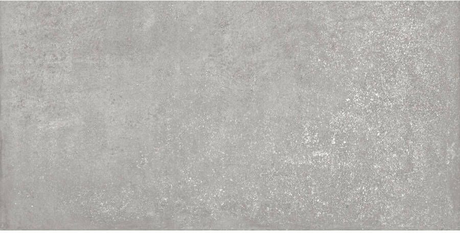Ape Grupo Vloertegel Ape Think 60x120 Gerectificeerd Grey