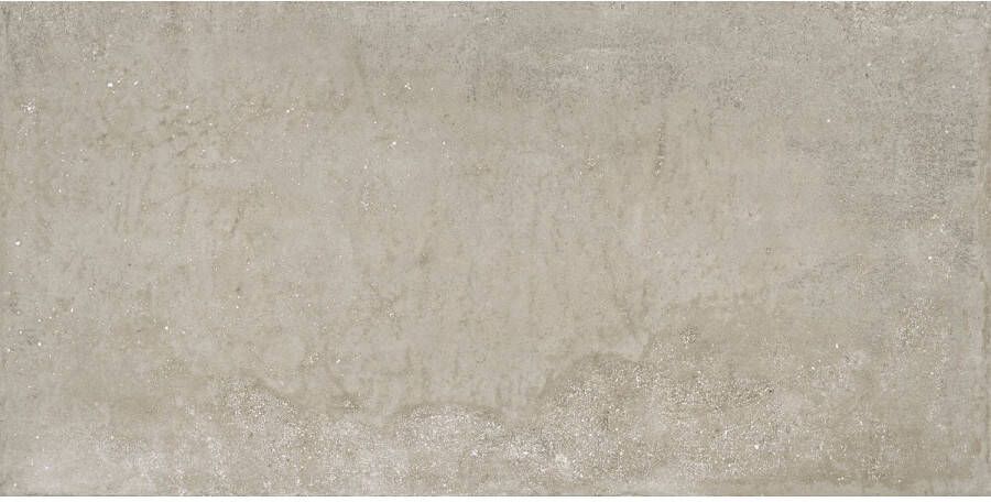 Ape Grupo Vloertegel Ape Think 60x120 Gerectificeerd Taupe