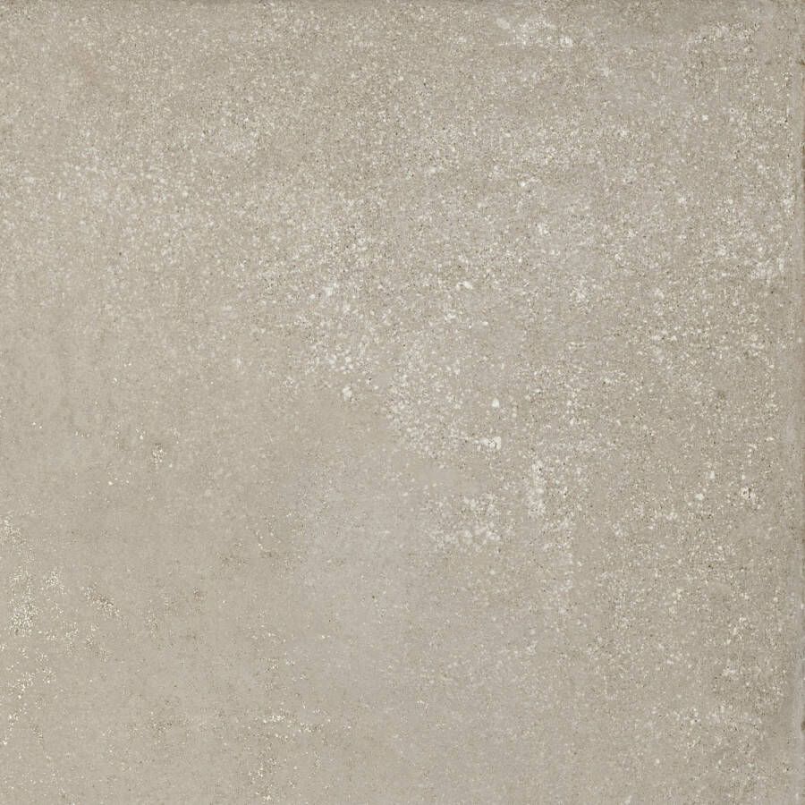 Ape Grupo Vloertegel Ape Think 60x60 Gerectificeerd Taupe