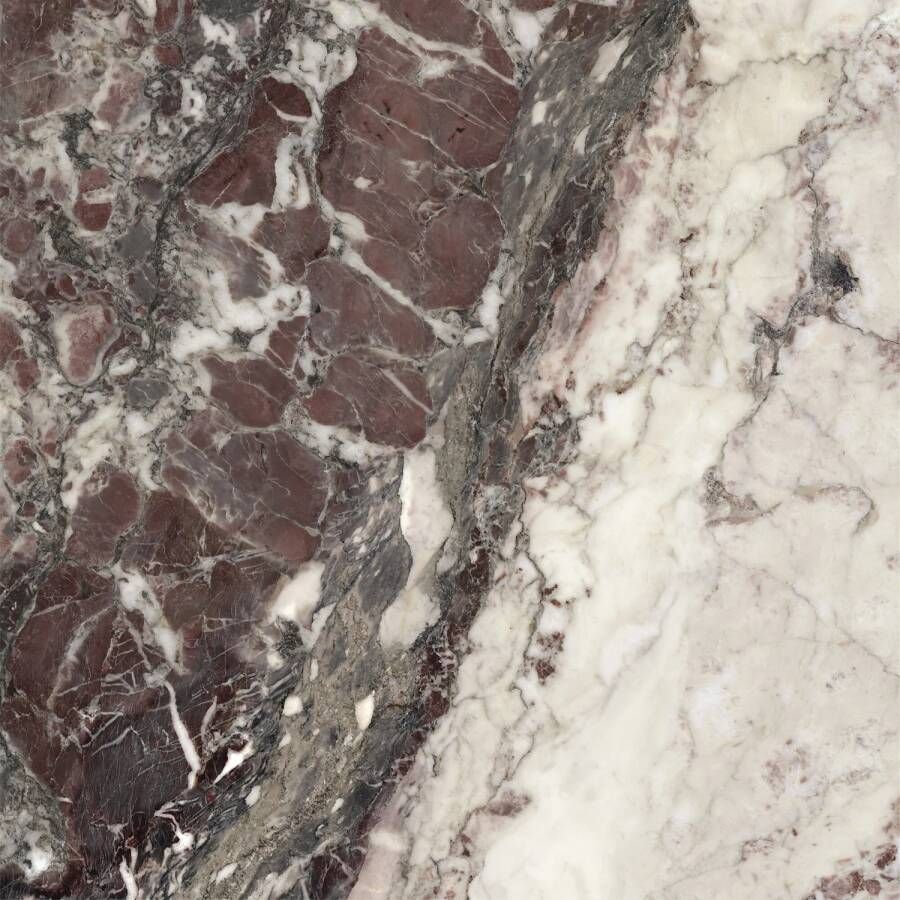 Ape Grupo Vloertegel Breccia Viola 120x120 cm Gepolijst Rood Marmerlook