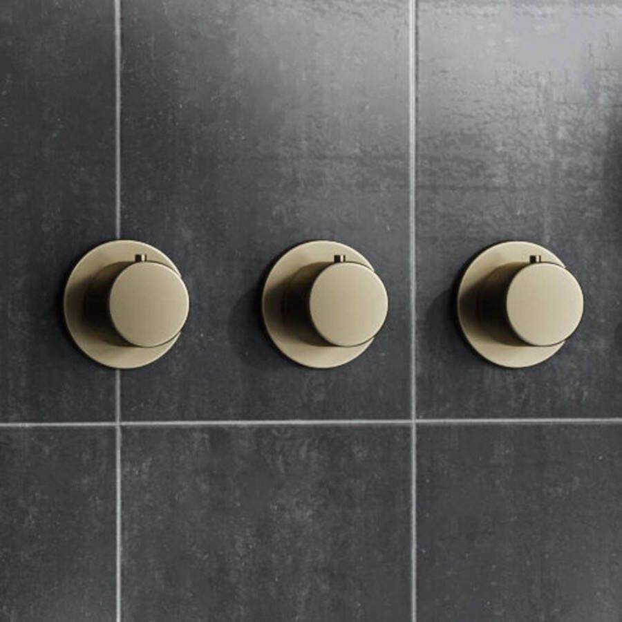 Boss & Wessing Thermostaatkraan Afbouwdeel BWS Plus Geborsteld Messing Mat Goud
