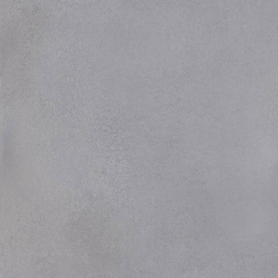 Arcana Vloer & Wandtegel Cliff R-Greige Gerectificeerd 119.3x119.3 cm Gepolijst Grijs