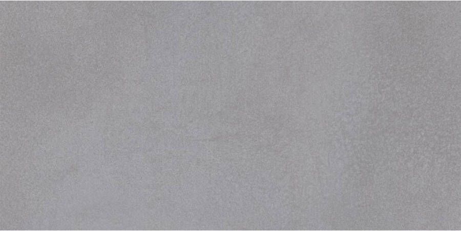 Arcana Vloer & Wandtegel Cliff R-Greige Gerectificeerd 60x120 cm Mat Grijs