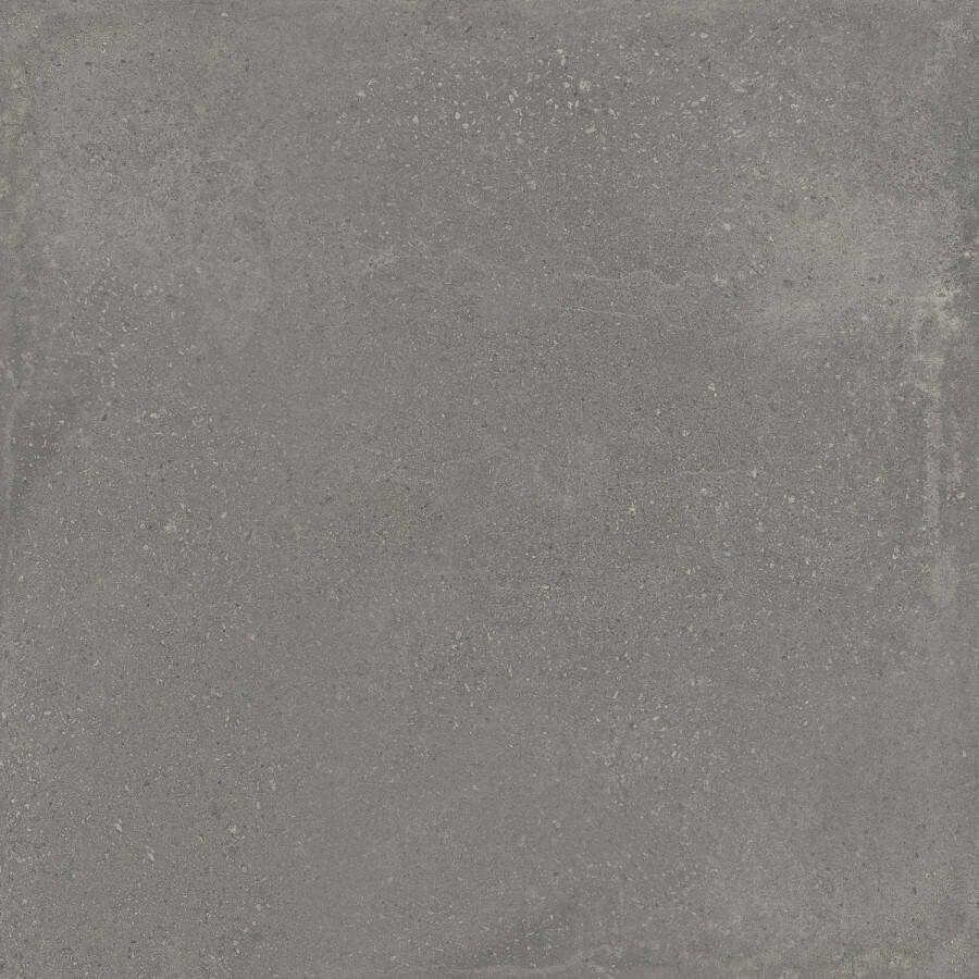 Argenta Vloertegel Davenport 75x75 cm Mat Dark