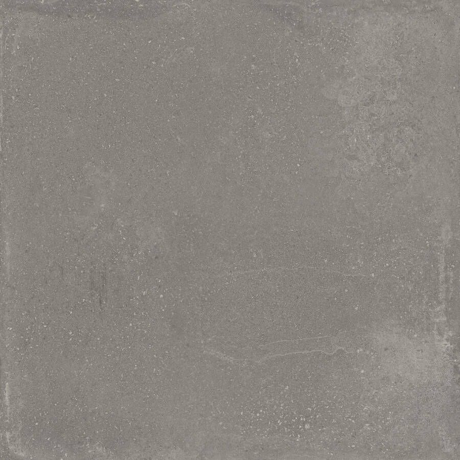 Argenta Vloertegel Davenport 90x90 cm Mat Dark