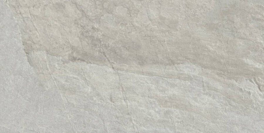 Baldocer Ceramica wand- en vloertegel 60x120cm 10mm Rechthoek gerectificeerd Betonlook Grijs mat SW07310655