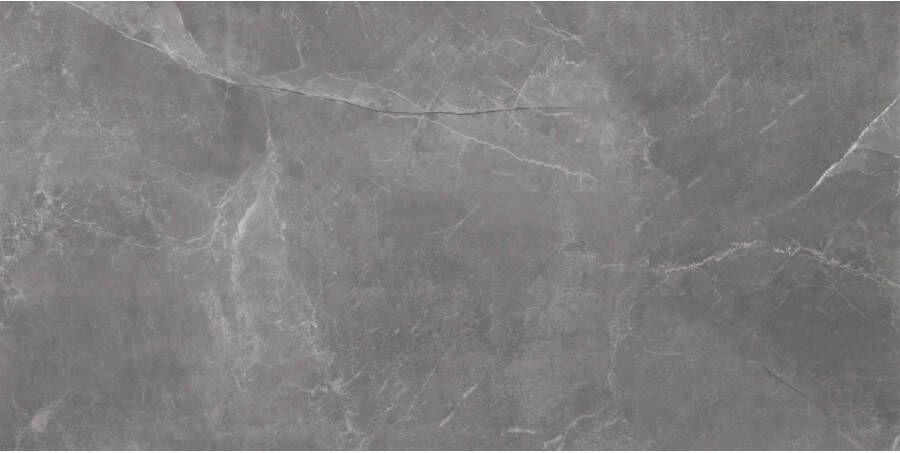 TS-Tiles Vloertegel Stonemood 30x60 cm Grey