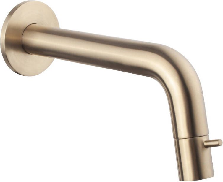 Boss & Wessing Fonteinkraan Inbouw BWS Toiletkraan Verstelbaar Geborsteld Messing Goud