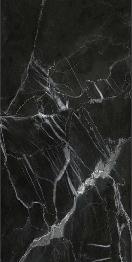 Isodeco Wandpaneel Black Streak 120x260 cm SPC Nero Marquina Zwart