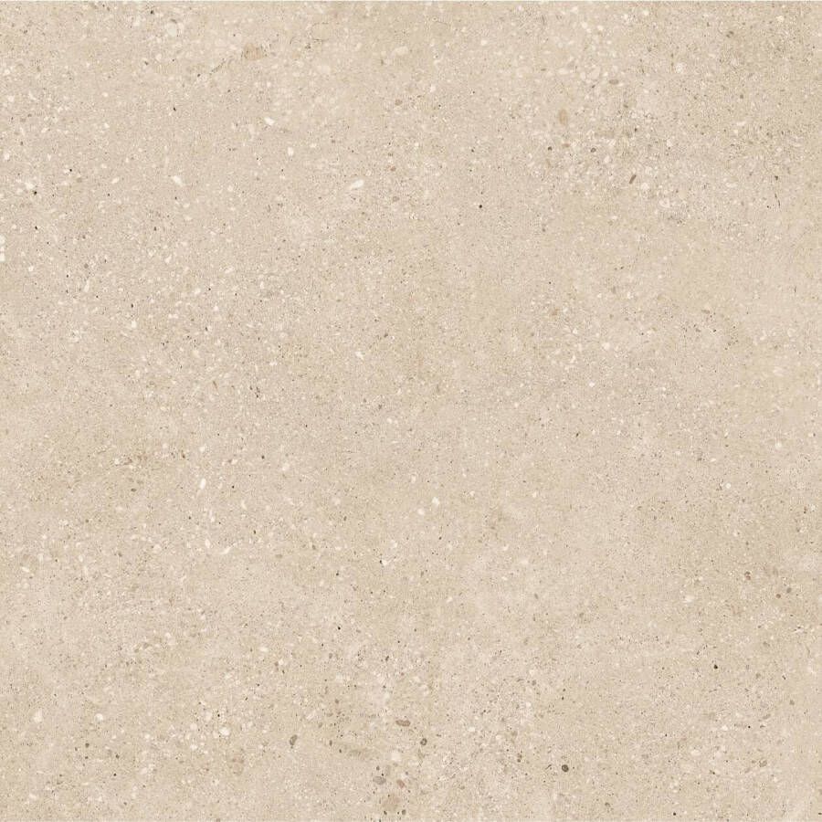 Ceramaxx Buitentegels Mystic Betonlook Gerectificeerd 60x60x3 cm Coffee Buitentegels Mystic Betonlook Gerectificeerd 60x60x3 cm Coffee (prijs Per