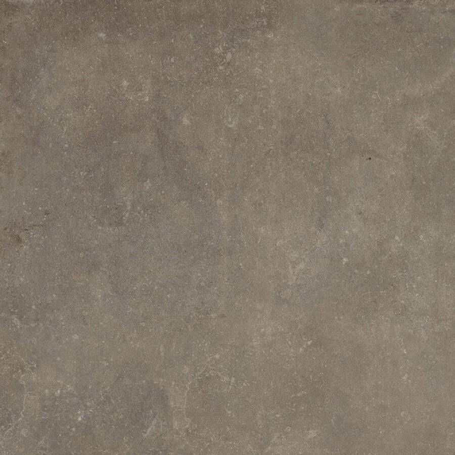 Ceramaxx Frescato Betonlook 60x60x3 cm 5411170916551