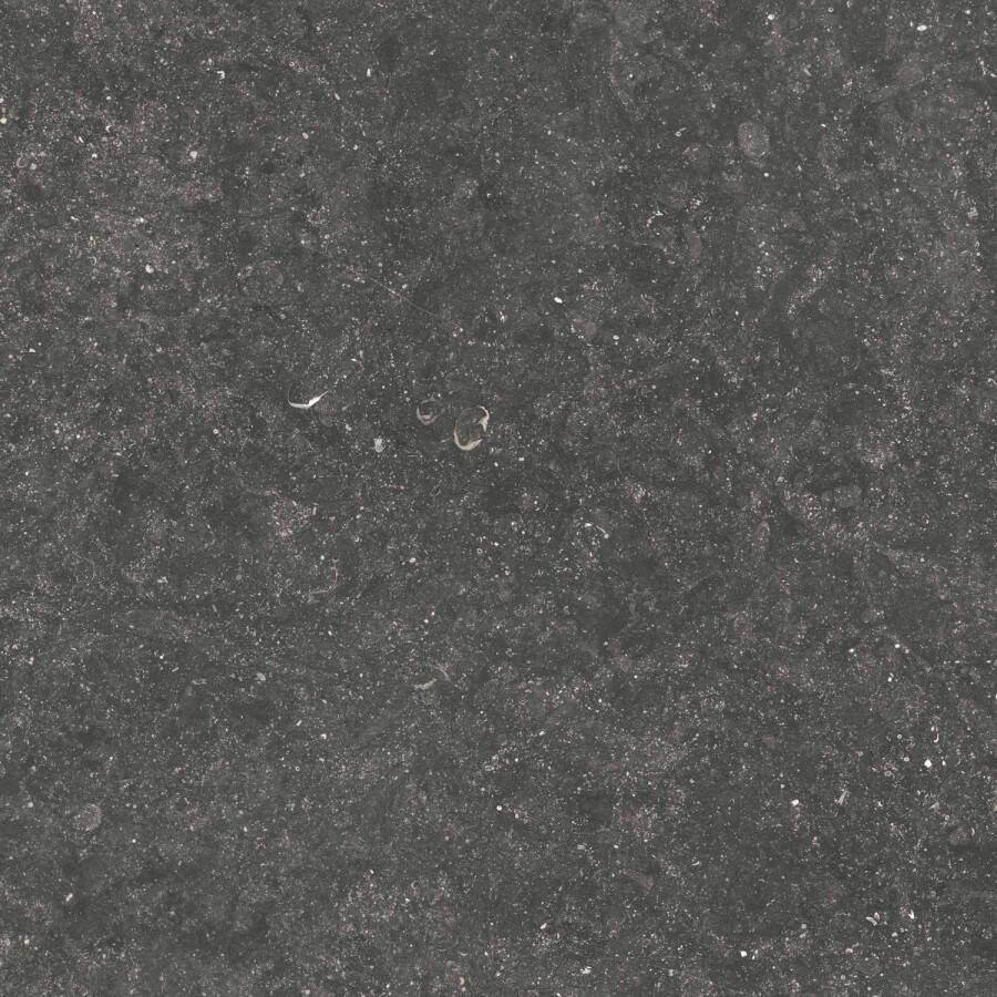 Ceramaxx Pietra Belgio Hardsteenlook 60x60x2 cm 5411170301197