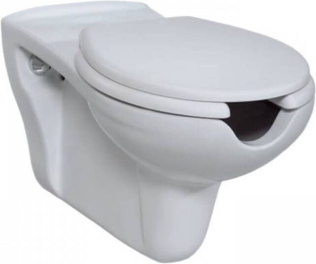 Creavit Closetzitting Inox Scharnieren & Softclose Wit TBV Mindervalide toilet