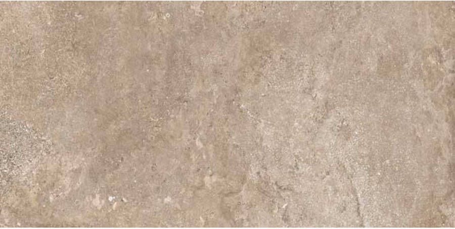 Cristacer Vloer & Wandtegel Borgona 60x120 cm Mat Beige