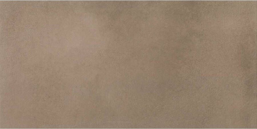 Cristacer Vloertegel Piemonte Taupe 60x120 cm