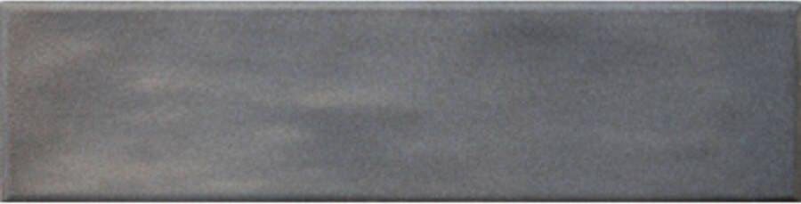 Dado Wandtegel Pamesa Tau 7.5x30 cm 10 mm Silver