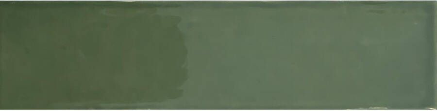 Wandtegel Tebe Vintage 7.5x30 cm Groen Brillo