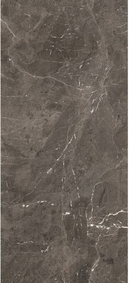 Douglas & Jones Vloertegel 120x280 cm Magnum Glans Brown Vloertegel 120x280 cm Magnum Glans Brown (prijs Per Tegel)