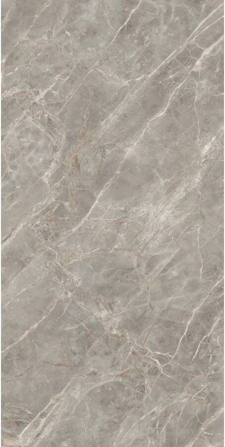 Douglas & Jones Vloertegel 120x280 cm Magnum Glans Gris Vloertegel 120x280 cm Magnum Glans Gris (prijs Per Tegel)