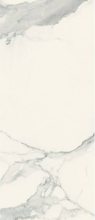 Douglas & Jones Vloertegel 120x280 cm Magnum Glans Statuario Vloertegel 120x280 cm Magnum Glans Statuario (prijs Per Tegel)