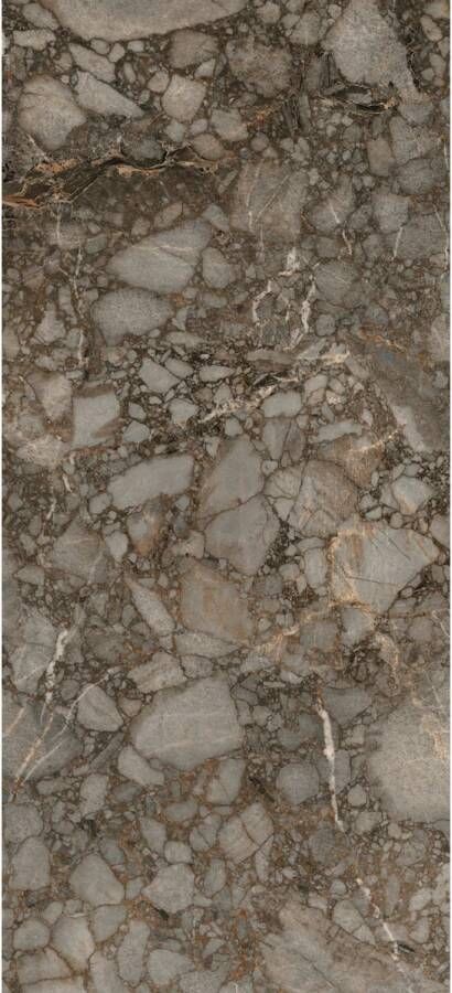 Douglas & Jones Vloertegel 120x280 cm Magnum Mat Riverbed Vloertegel 120x280 cm Magnum Mat Riverbed (prijs Per Tegel)