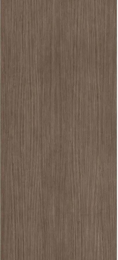 Douglas & Jones Vloertegel 120x280 cm Magnum Plank 2