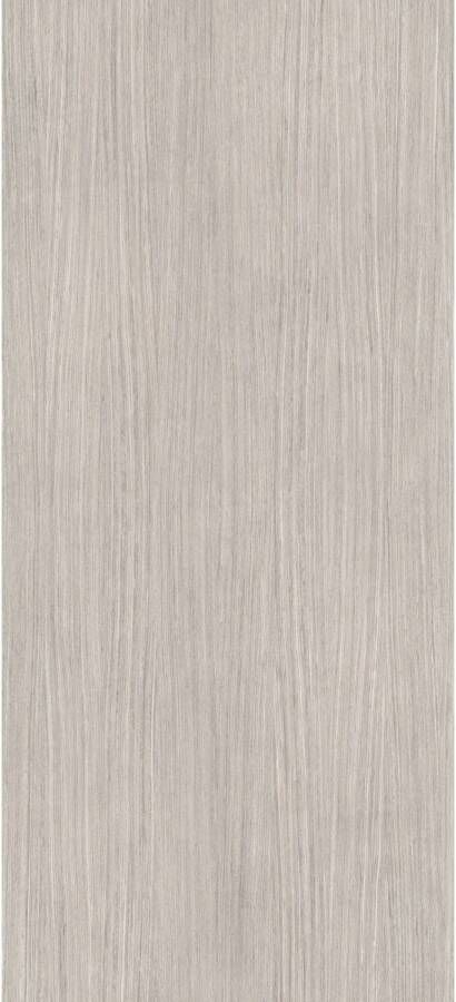 Douglas & Jones Vloertegel 120x280 cm Magnum Plank 4