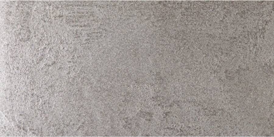 Douglas & Jones Wandtegel Douglas Jones Marbles 30X60 cm Mat Plata