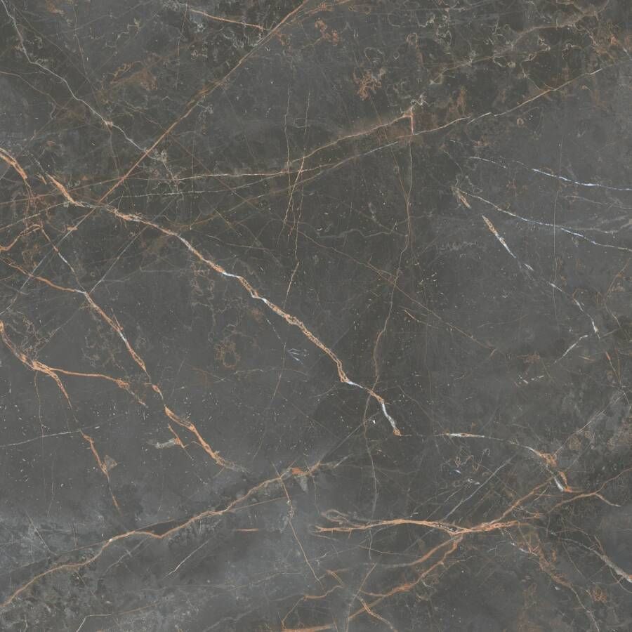 E-Tile Vloertegel Etile Manhattan 120x120 cm Natural Dark