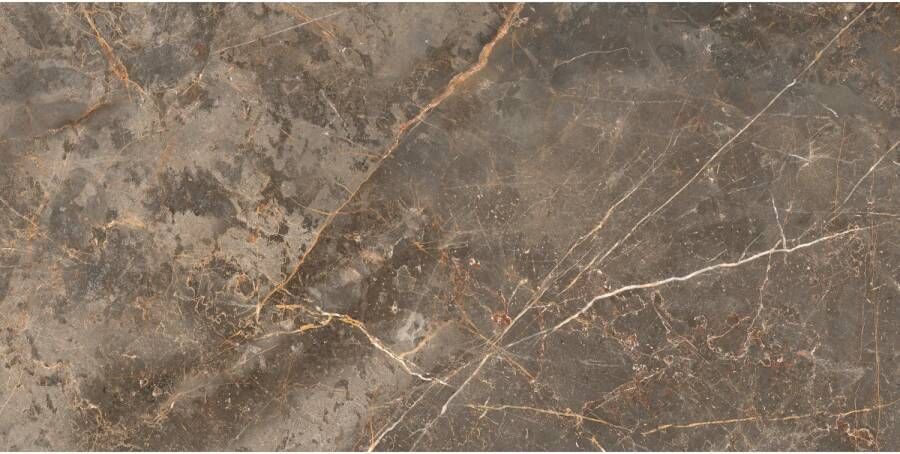 E-Tile Vloertegel Etile Manhattan 60x120 cm Pulido Earth