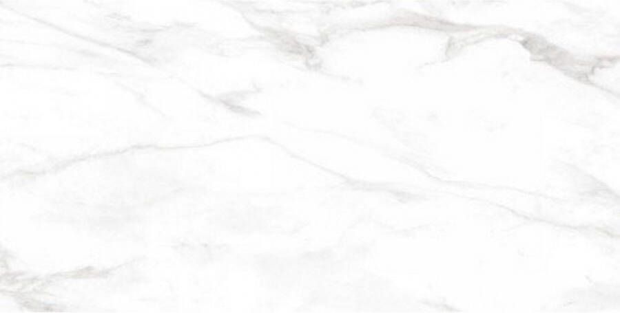 E-Tile Vloertegel XL Etile Always White Natural Glans 120x260 cm