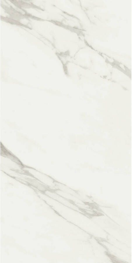 E-Tile Vloertegel XL Etile Always White Natural Mat 60x120 cm