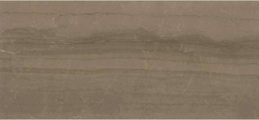 E-Tile Vloertegel XL Etile Kontempo Cinnamon Glans 120x260 cm