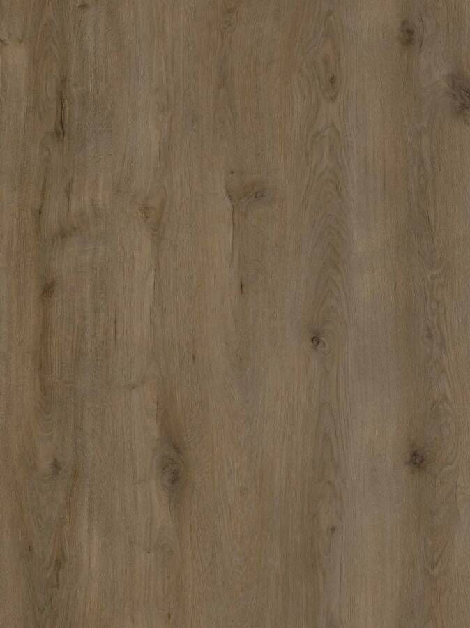 Eko Floors Plak PVC EKO Kingsize collection 23 5 x 150 5 x 0 25 cm Houtlook Seine