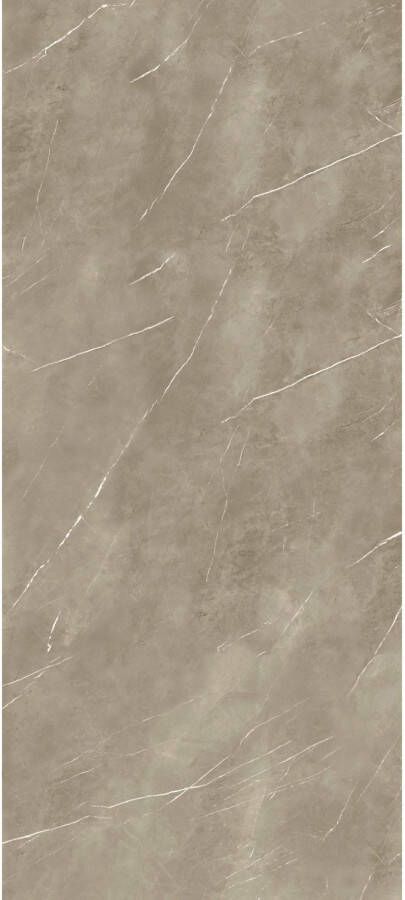 Energieker Vloer- en Wandtegel Pietragrey Marmerlook 120x270 cm Mat Taupe