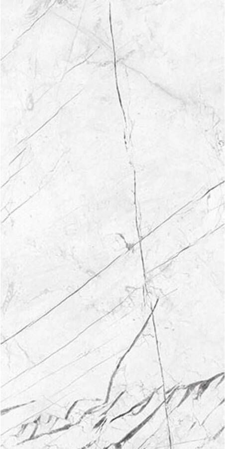 Energieker Vloertegel Ekxtreme Glans 120X280 cm Marquina White