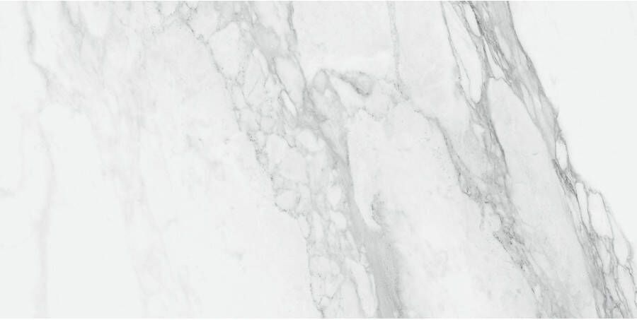 Energieker Vloertegel Ekxtreme Glans 30X60 cm Bernini