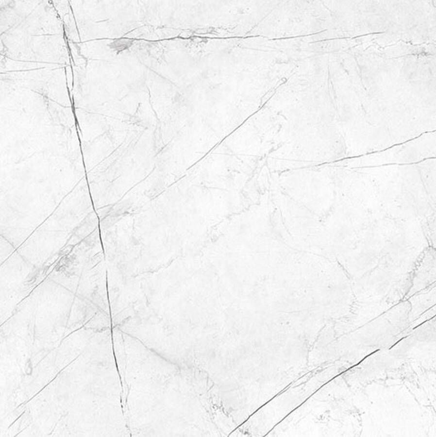 Energieker Vloertegel Ekxtreme Marquina Glans 60x60 cm Marmerlook Wit