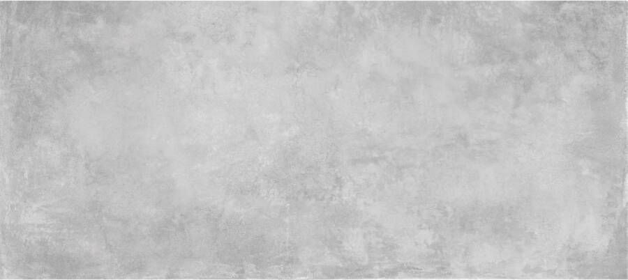 Energieker Vloertegel Parker 120x280 cm Silver Vloertegel Parker 120x280 cm Silver (prijs Per Tegel)