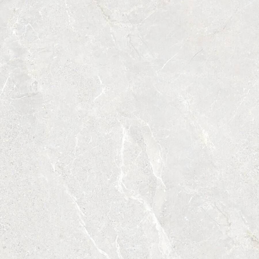 Energieker Vloertegel Wonder 60x60 cm Mat Bright