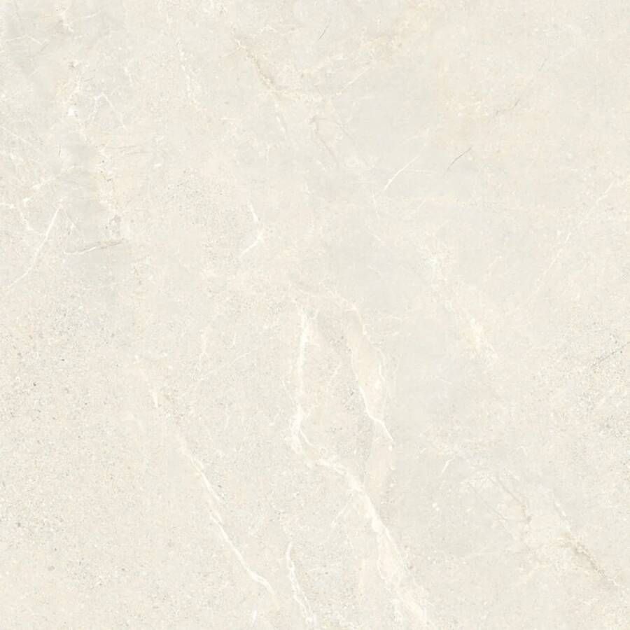 Energieker Vloertegel Wonder 60x60 cm Mat Sleet