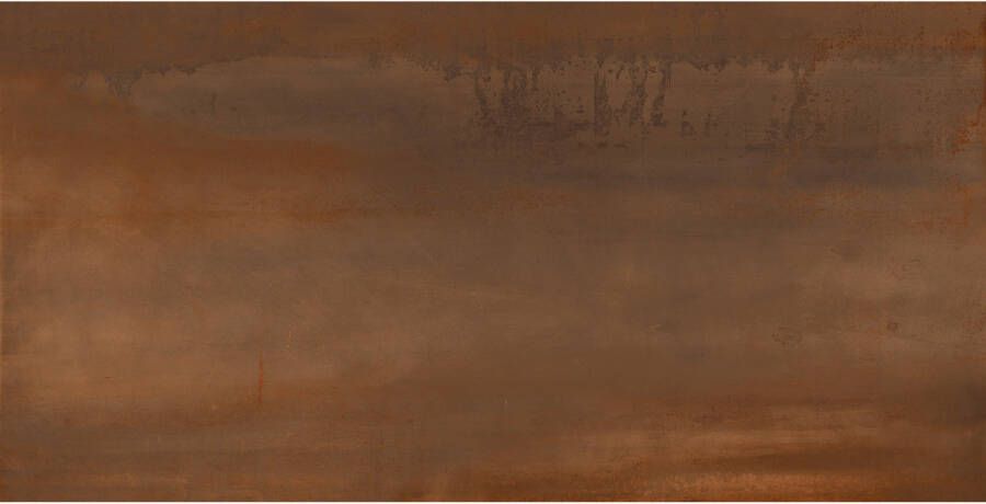 Energieker Vloertegel Oxidatio 120x280 cm Tellurium