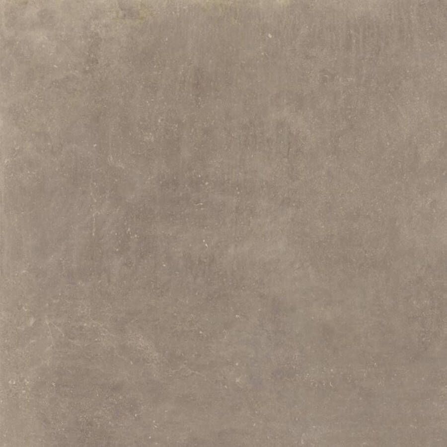 Tegeldepot Leonardo C Mine Greige 90x90 (doosinhoud 1.62 m2)