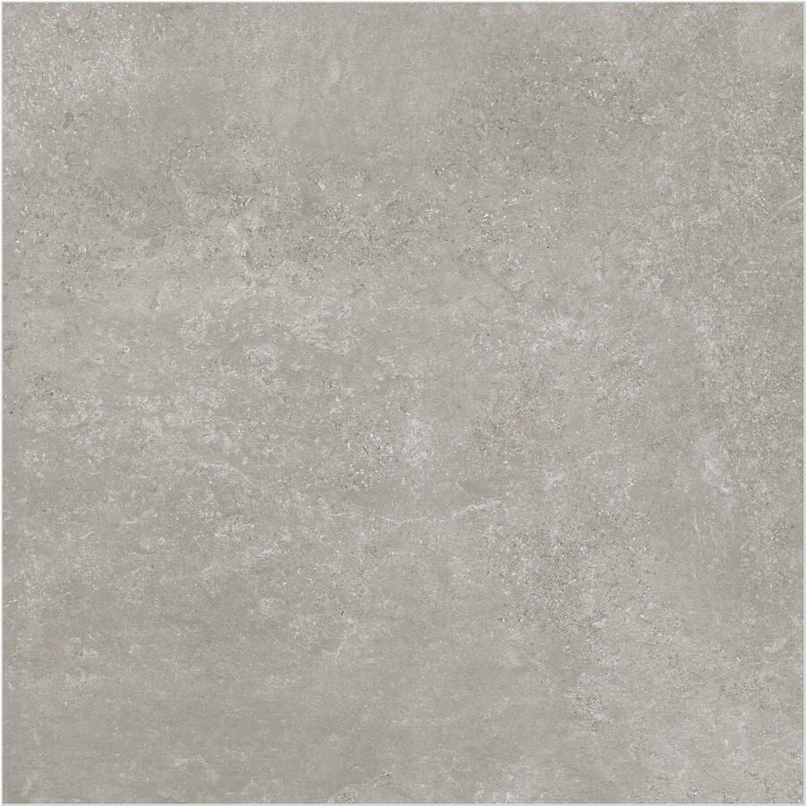 Flaminia Vloertegel Surface Greige 60x60 Gerectificeerd - Foto 1