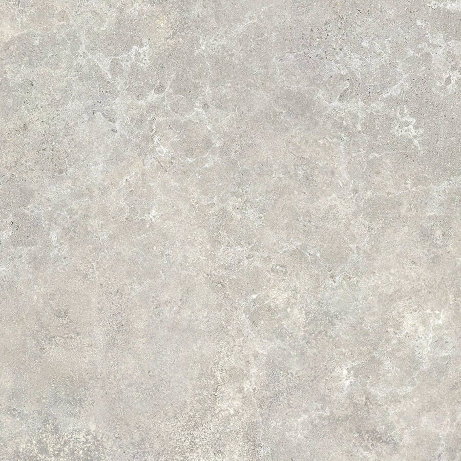 Flaminia Vloertegel Everest 60x60 cm Grey