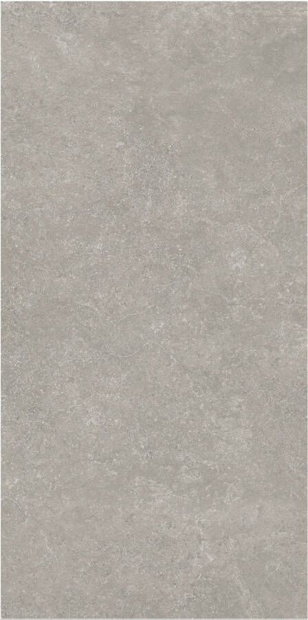 Flaminia Vloertegel Surface Greige 60x120 Gerectificeerd