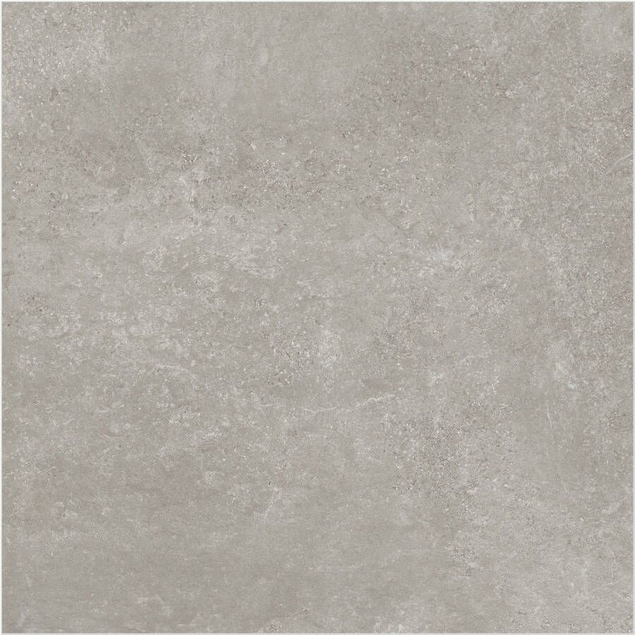 Flaminia Vloertegel Surface Greige 60x60 Gerectificeerd
