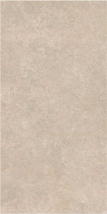 Flaminia Vloertegel Surface Sand 60x120 Gerectificeerd